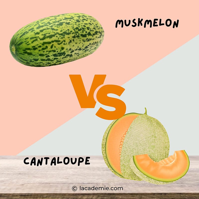 Cantaloupe And Muskmelon