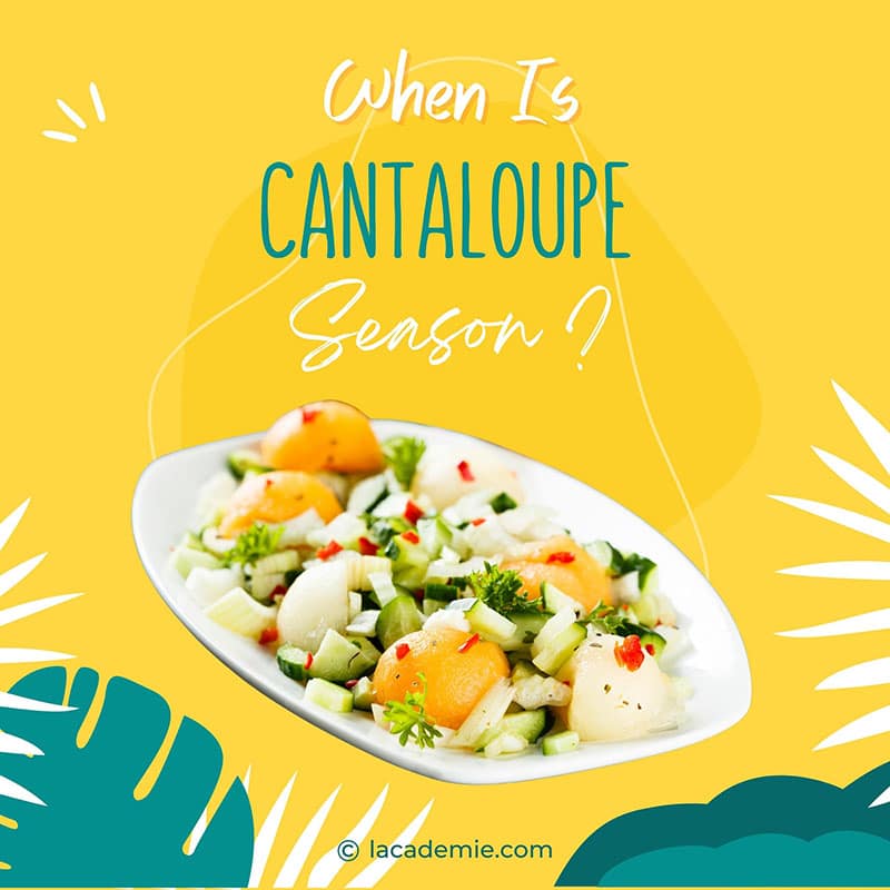 Cantaloupe Season