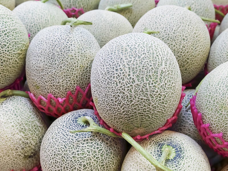 Cantaloupe Skin