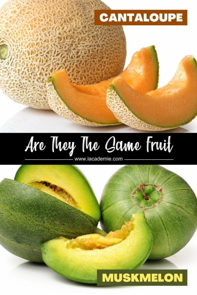 Cantaloupe Vs Muskmelon