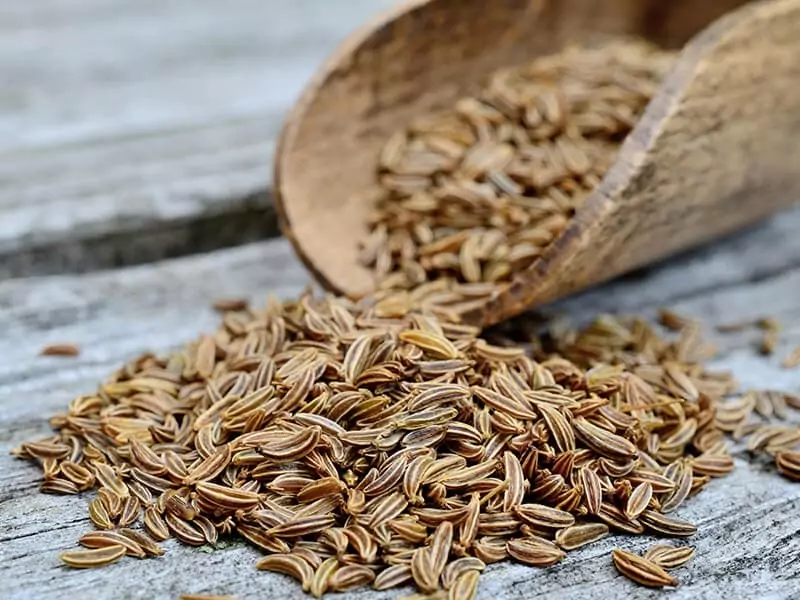 Caraway Seeds