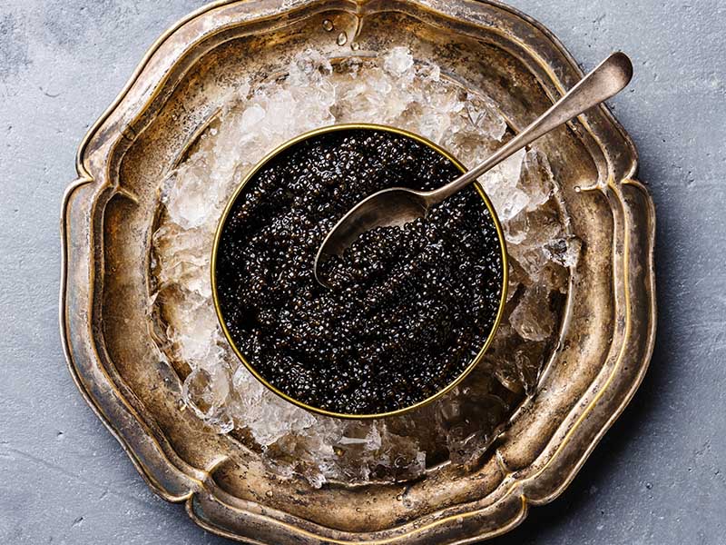 Caviar Open