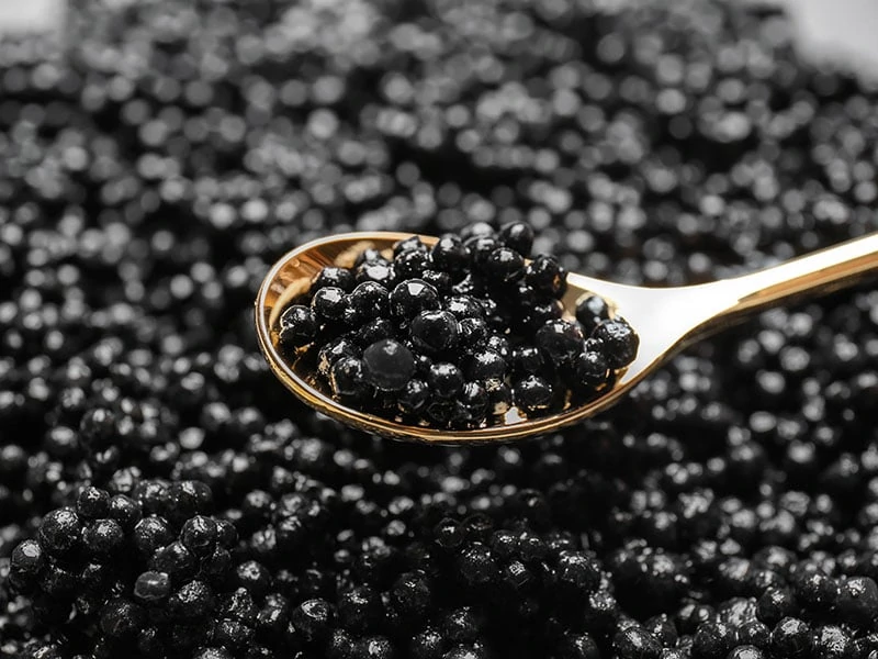 Caviar Or Fish Roes