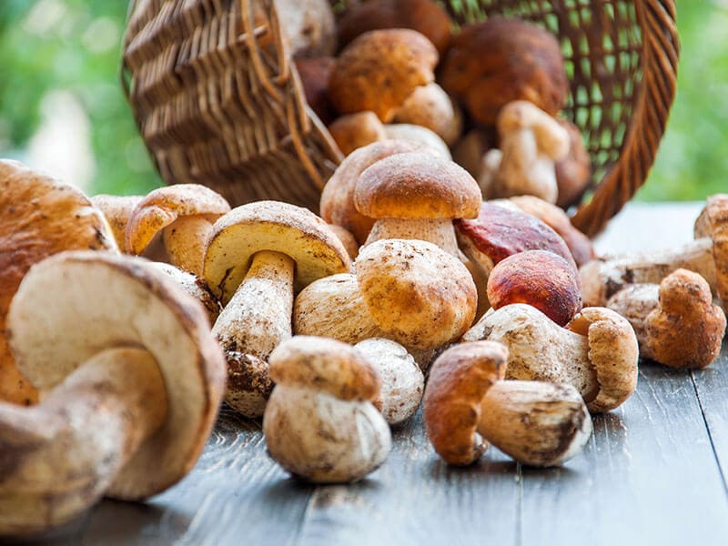 Cep Mushrooms