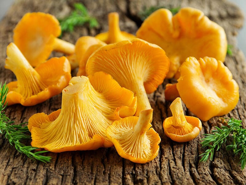 Chanterelle Mushrooms