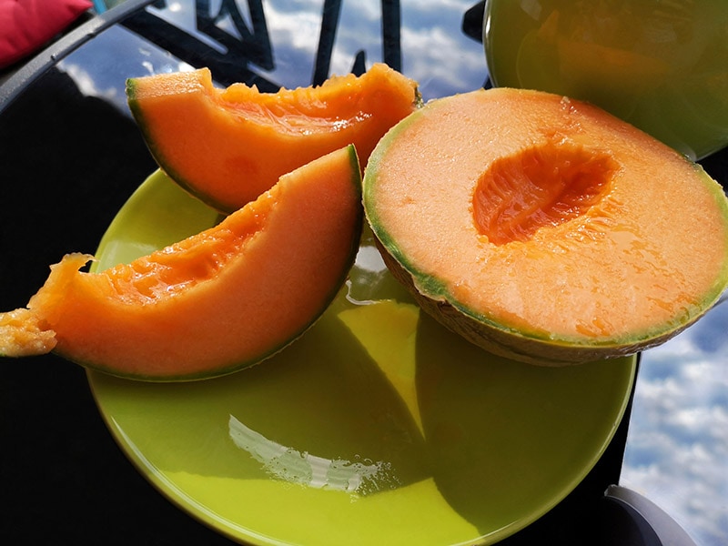 Charentais Cantaloupe