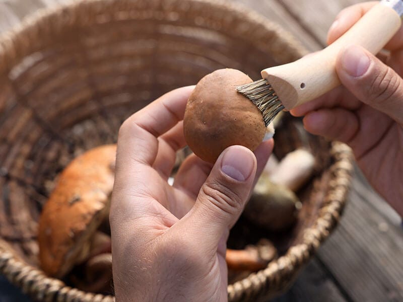 Cleaning Mushroom