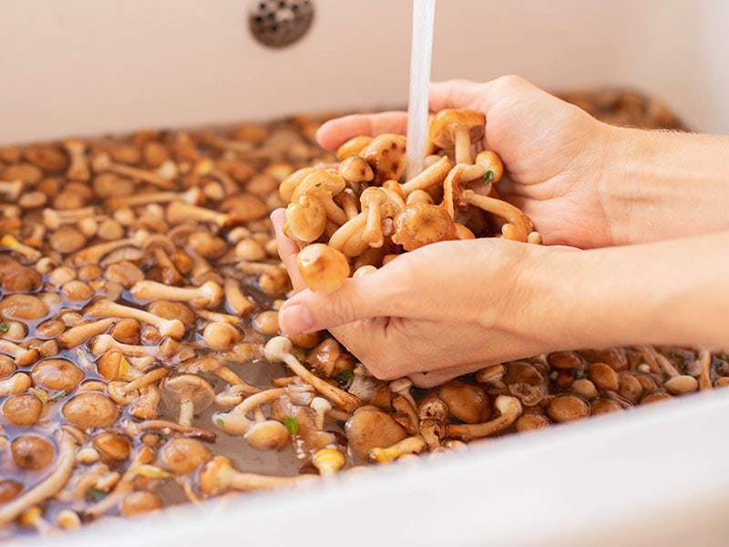 Cleaning Mushrooms With Water