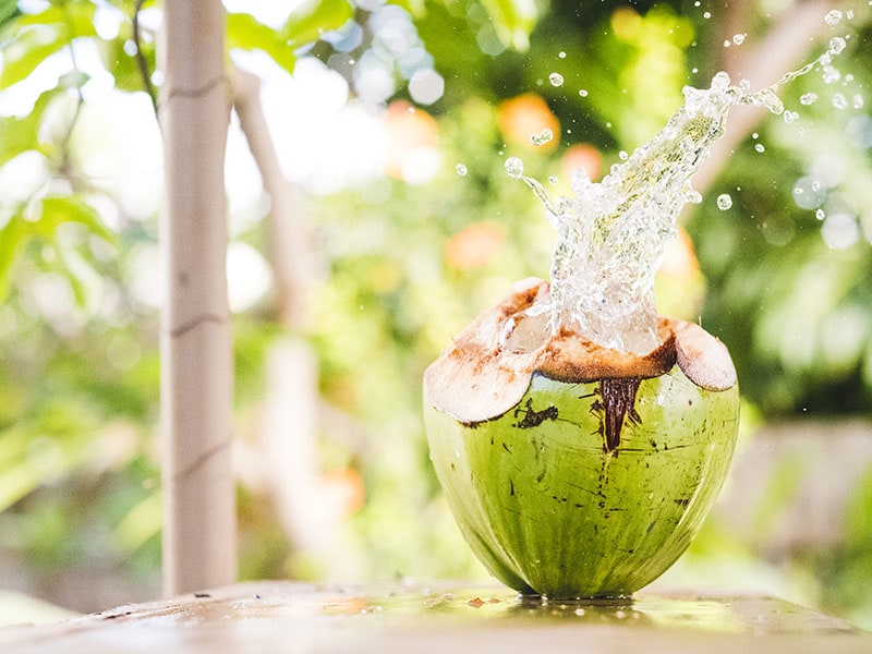 Coconut Water Refresh