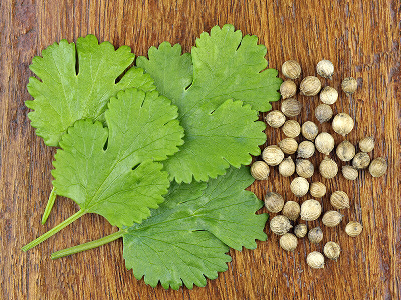 Coriander Seed