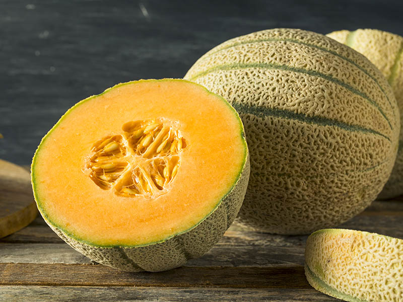 Delicious Melon Cantaloupe