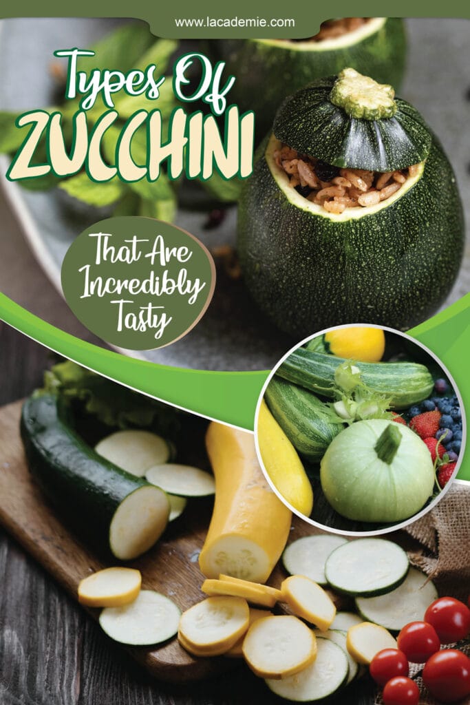Different Types Of Zucchini