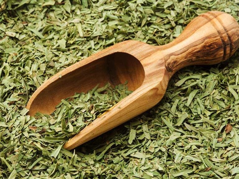 Fresh Tarragon vs. Dried Tarragon What Every Cook Needs to Know 2024