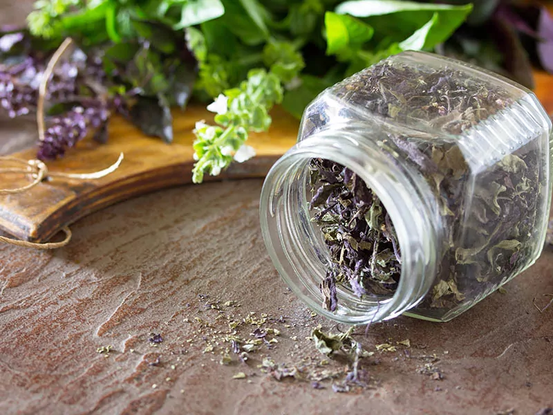 Dry Basil Flowers