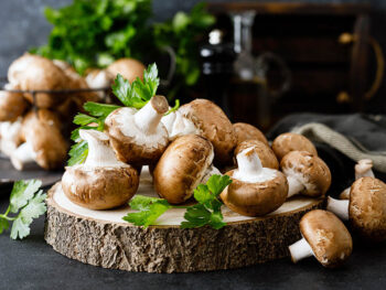 Edible Mushrooms You Need To Try