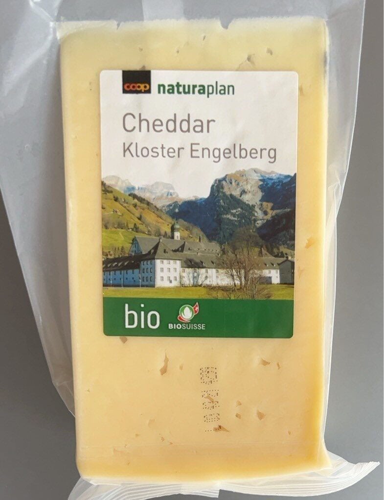 Engelberg Chedda