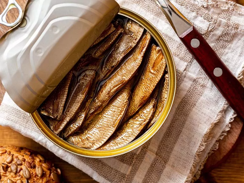 European Sprat