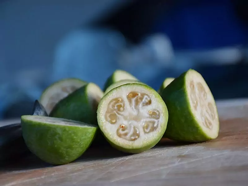 Feijoa Fruit