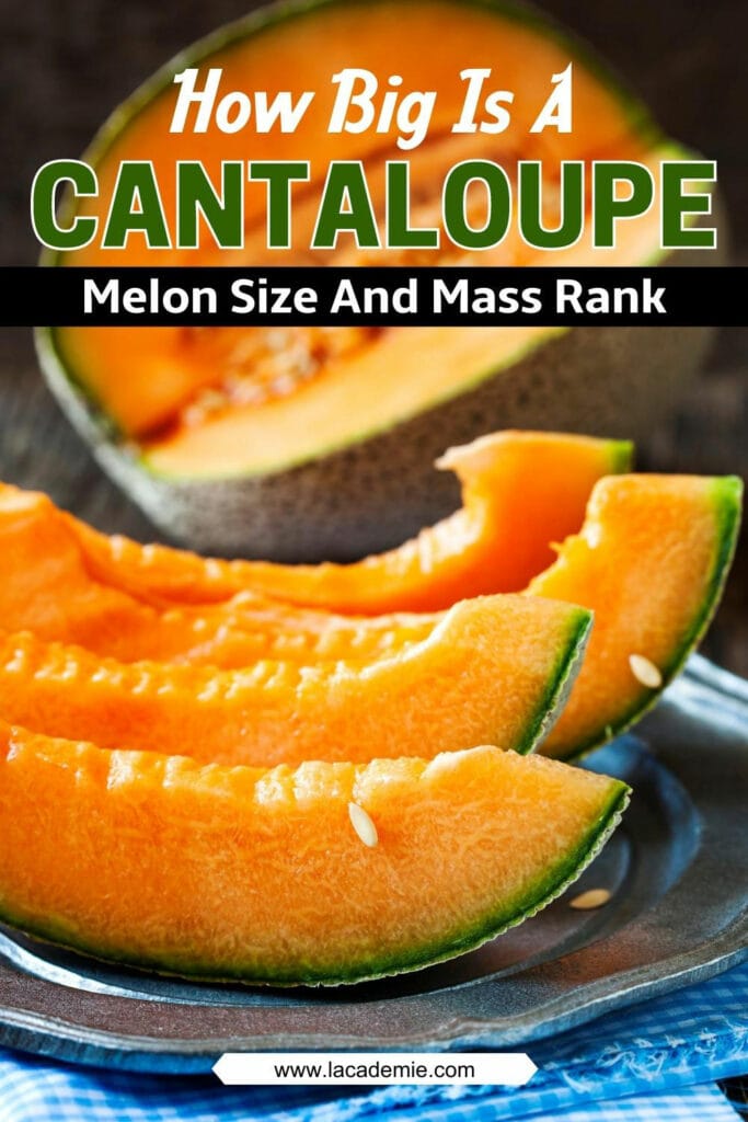 How Big Is A Cantaloupe