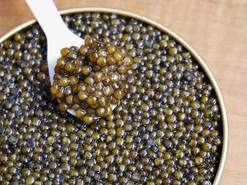 Importance Color Caviar