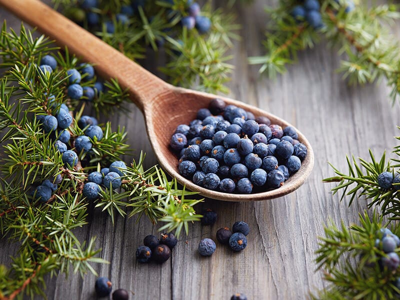 Juniper Berries