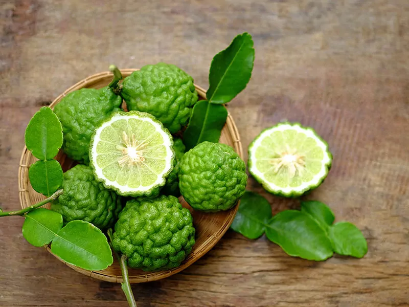 Kaffir Lime