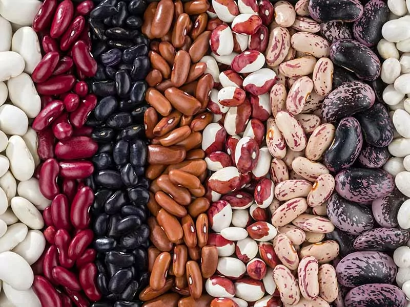 Kidney Beans