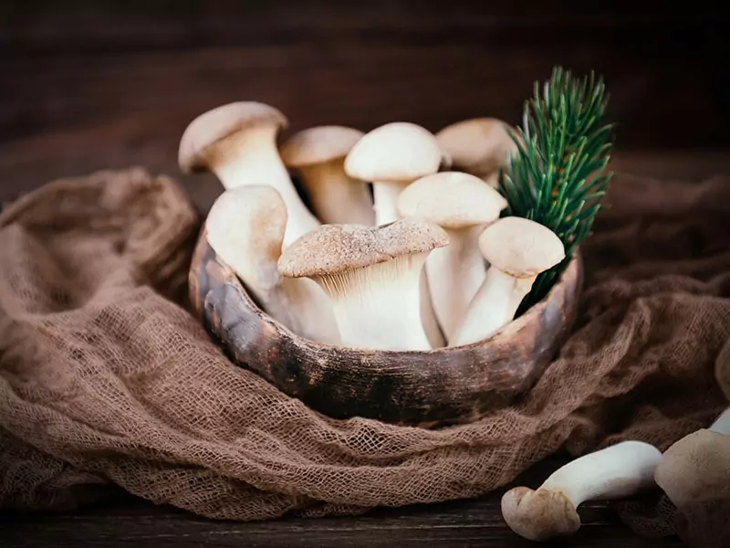 King Oyster Mushrooms