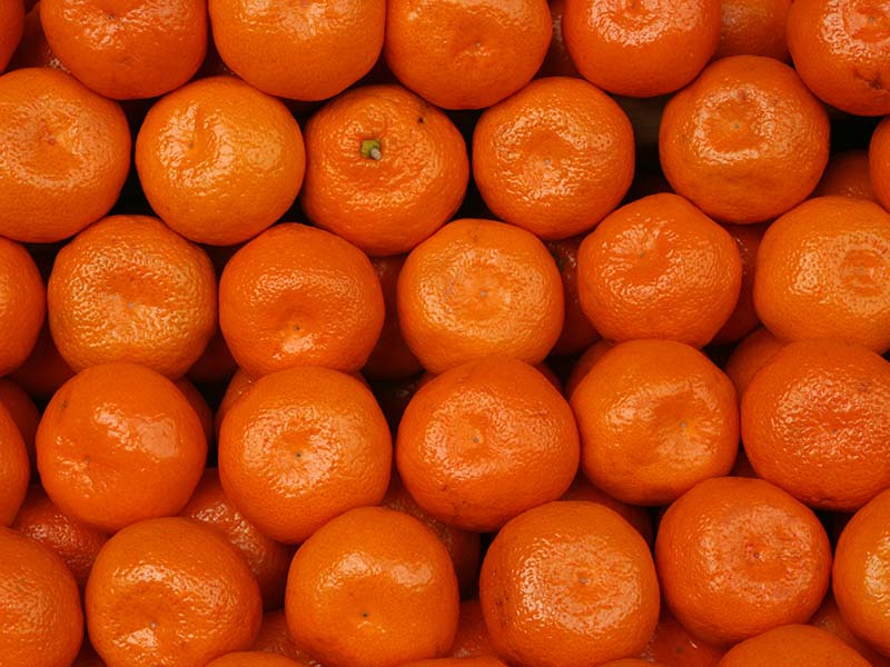 Koji Orange