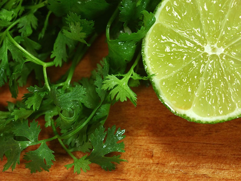 Lime And Cilantro