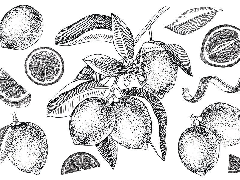 Lime Varieties