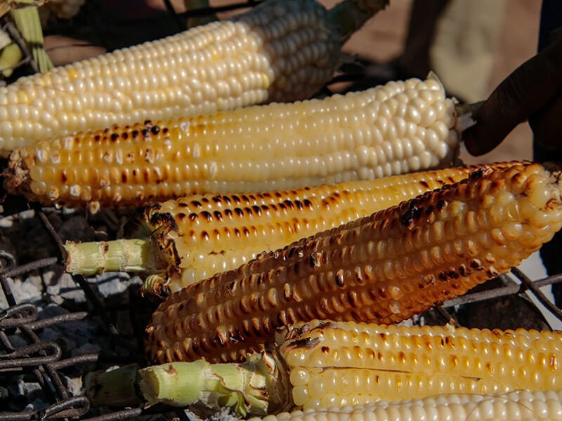 Mahindi Choma