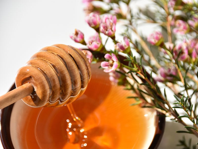 Manuka Tree Flower Honey