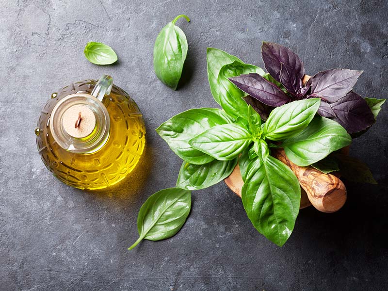 Olive Oil Basil Flower