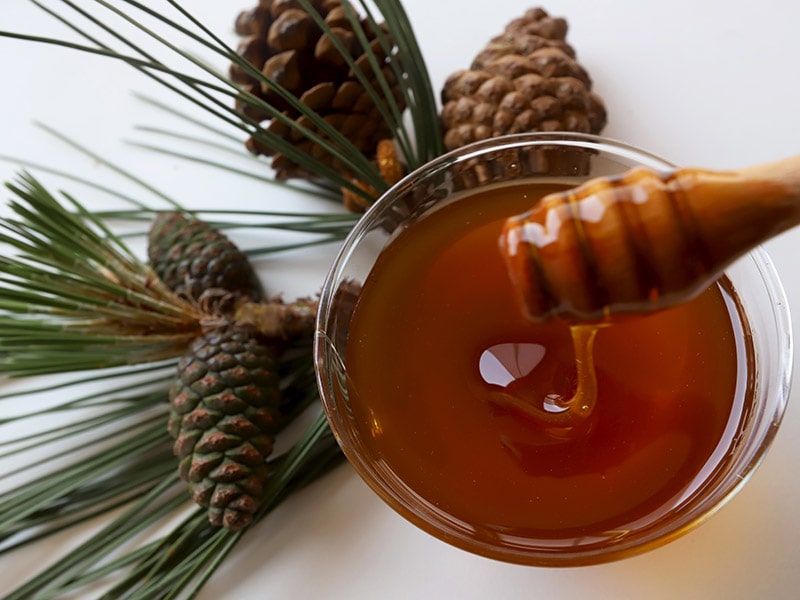Pine Tree Honey