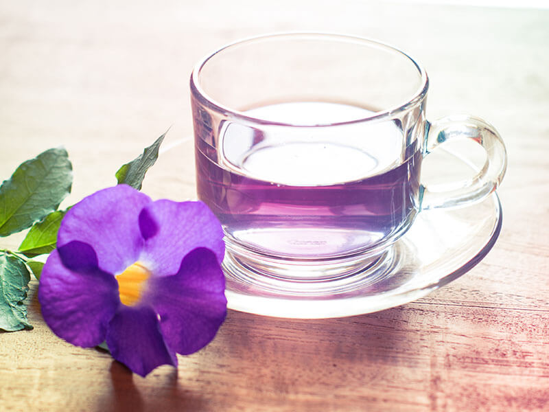 Purple Tea