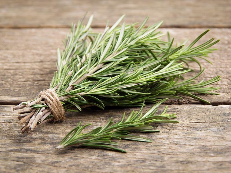 Rosemary Tarragon