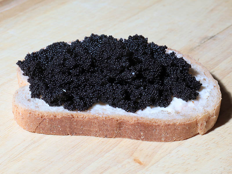 Sevruga Caviar Cheaper