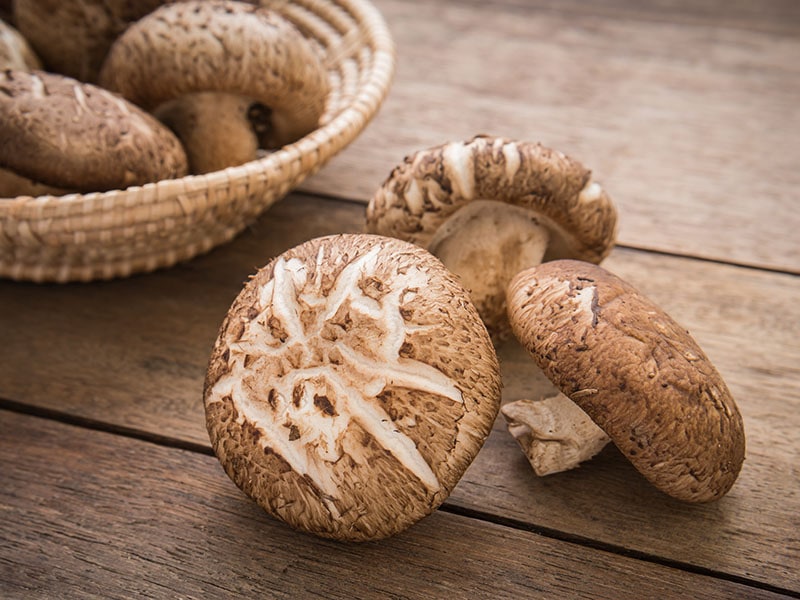 Shiitake Mushrooms