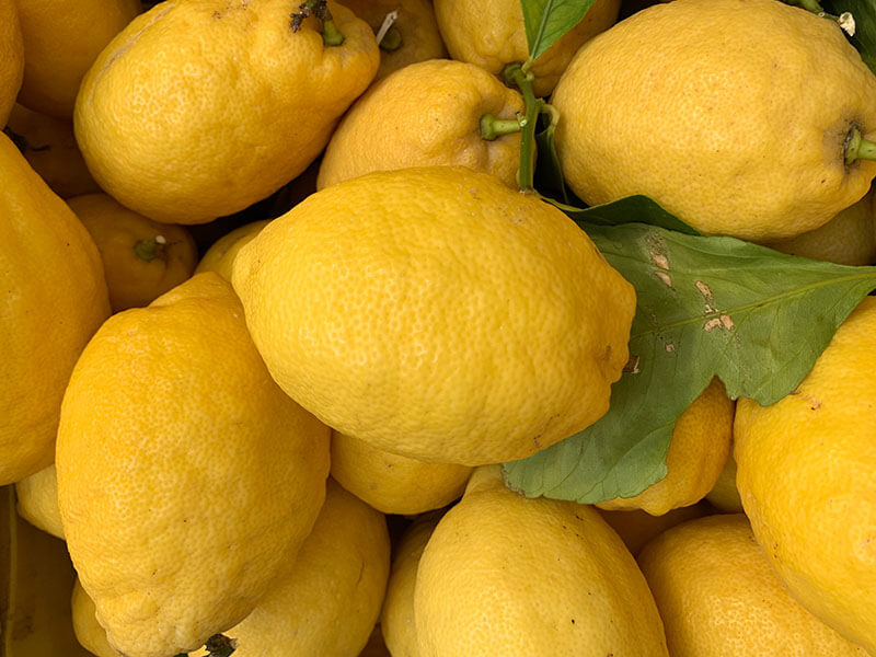 Sorrento Lemons