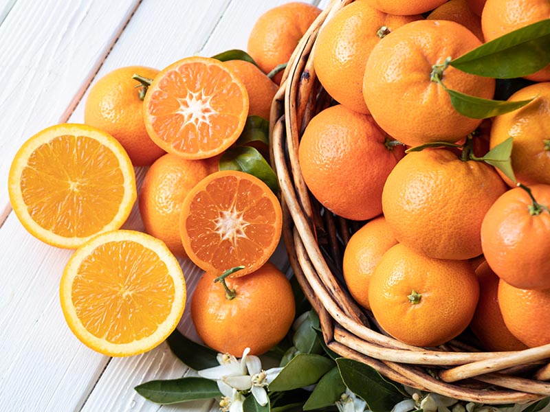 Standard Orange Citrus Fruits