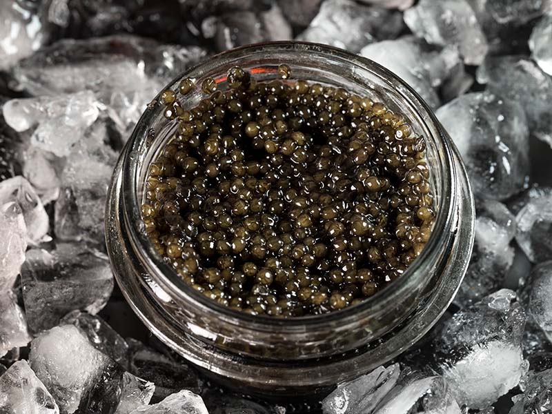 Store Caviar Ice