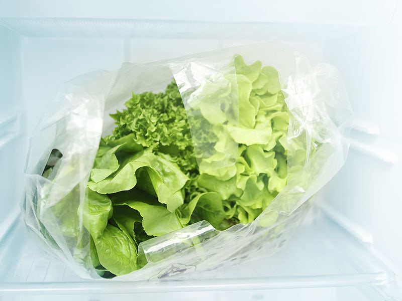 Store The Lettuce In The Fridge