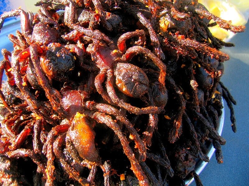 Tarantula Fried Spider