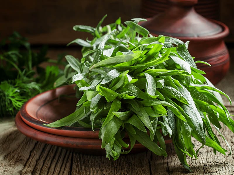 Tender Tarragon Is Rather Expensive