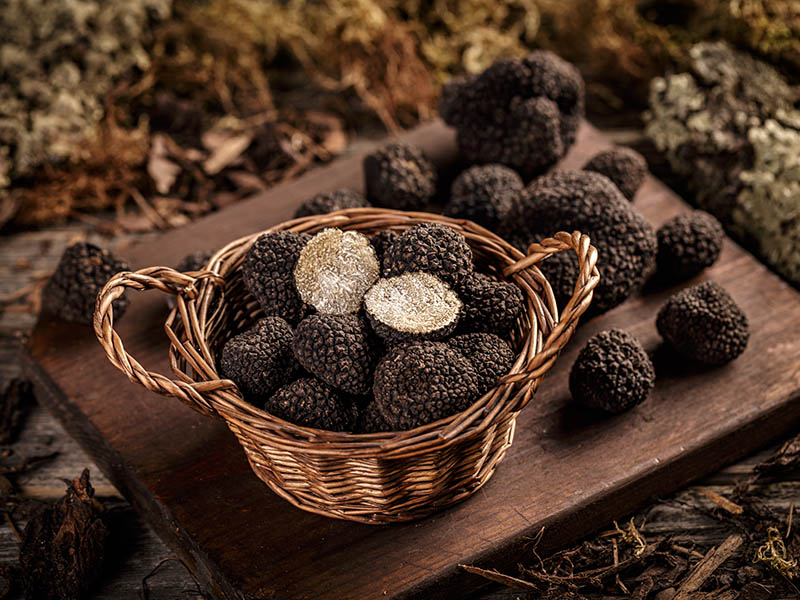 Truffle Mushrooms