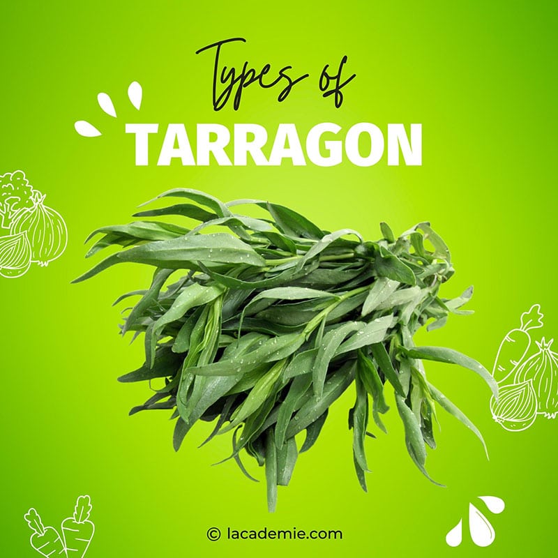Type Of Tarrago