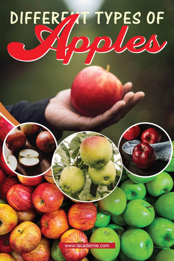 Types of Apples