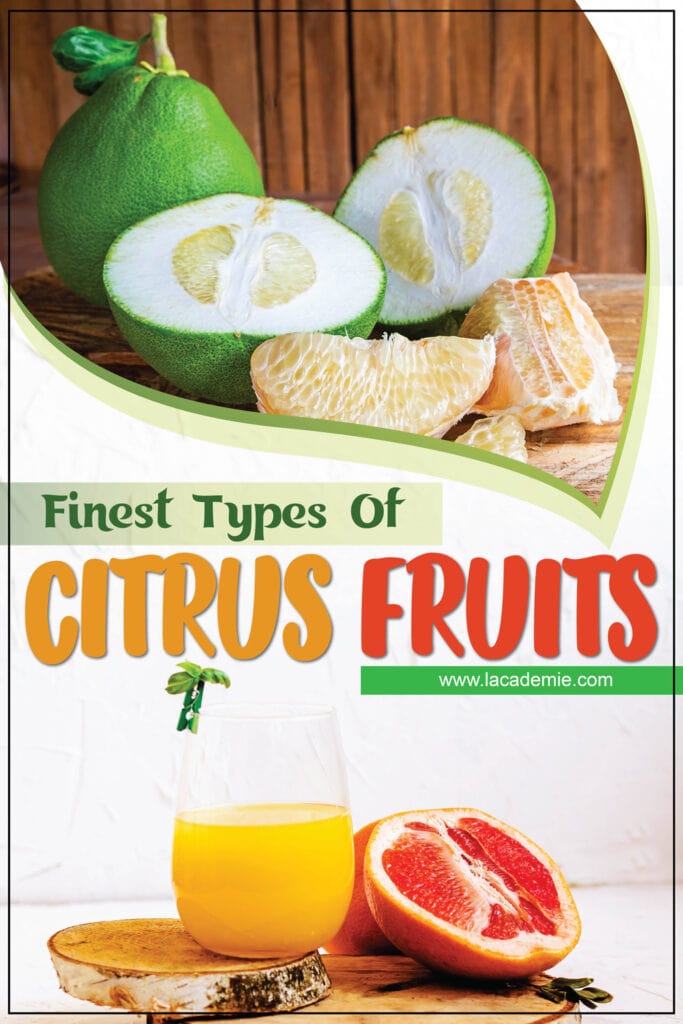 Types Of Citrus Fruits