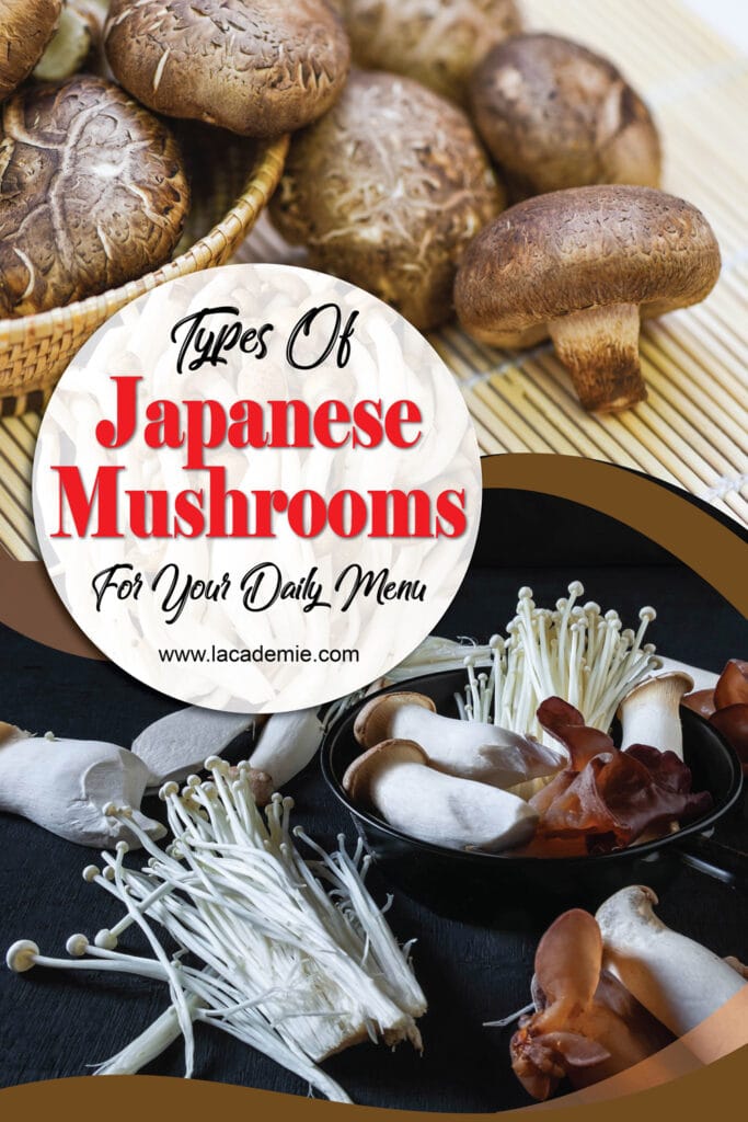 Types Of Japanese Mushrooms